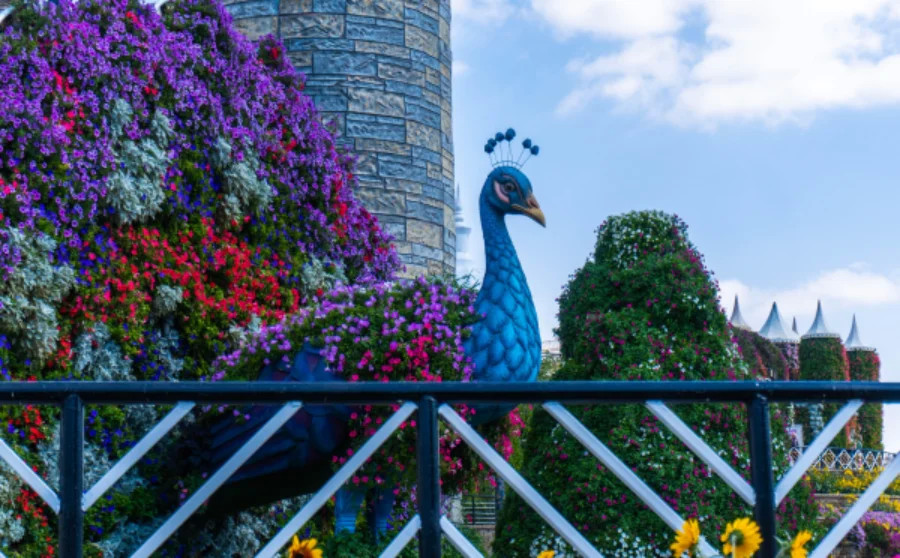 Miracle Garden