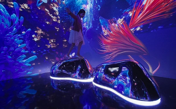 Aya Universe